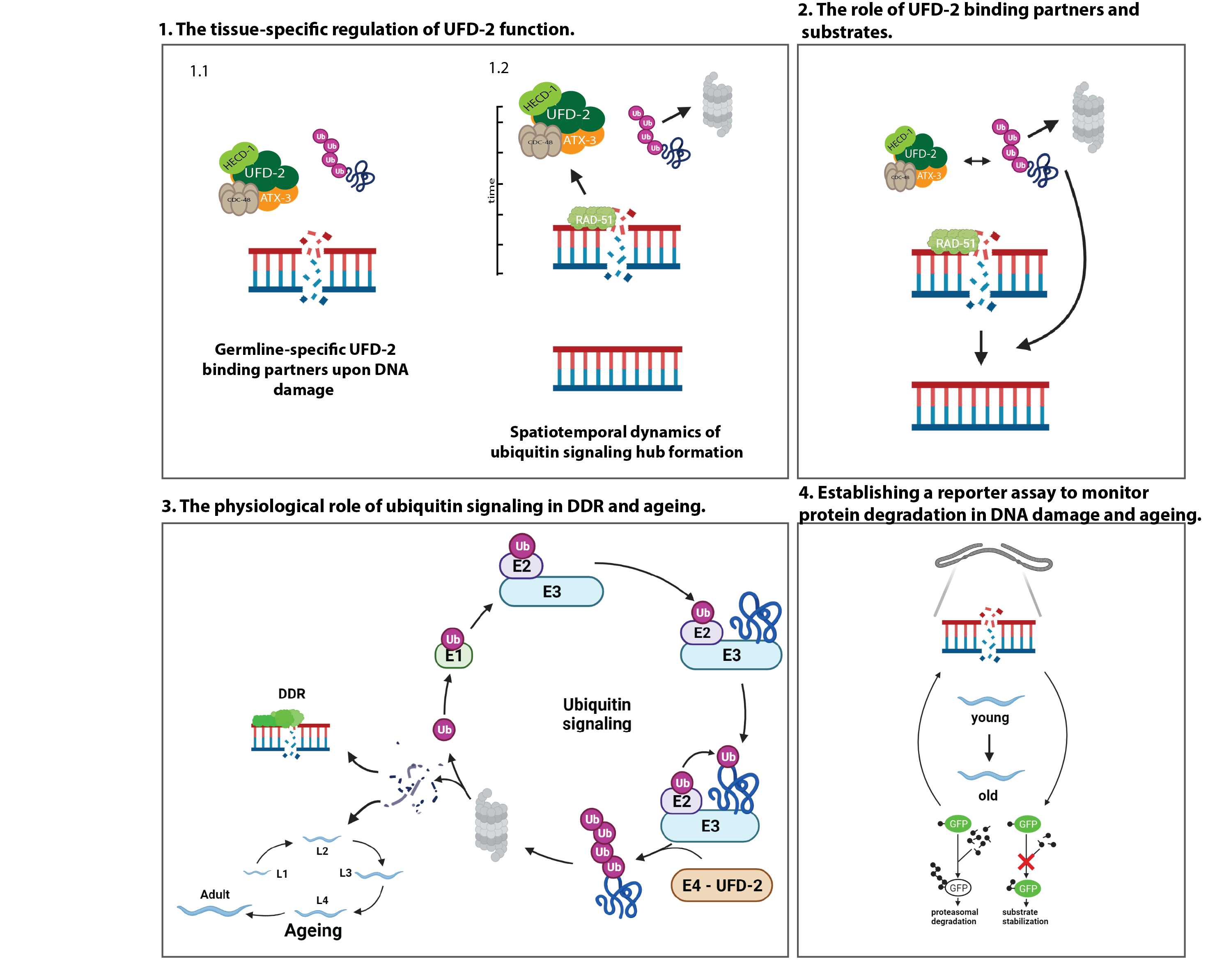 work-schematic-model-300ppi.png